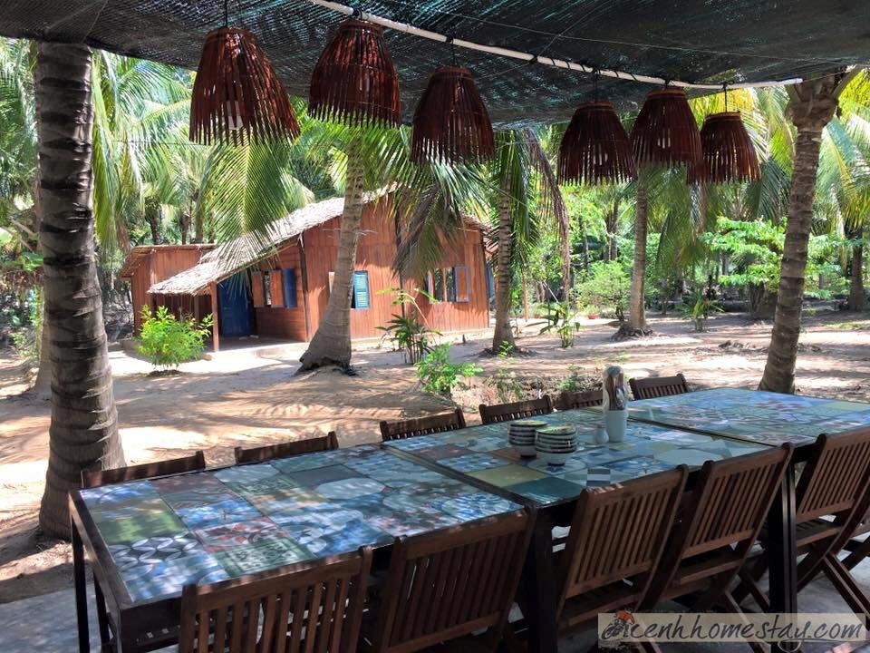 Cocohut Homestay Bến Tre: Review chi tiết nơi ẩn mình giữa rừng dừa