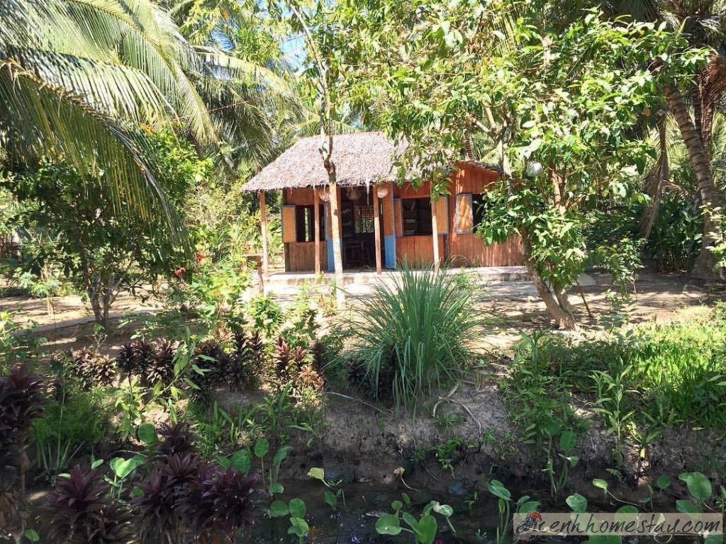 Cocohut Homestay Bến Tre: Review chi tiết nơi ẩn mình giữa rừng dừa
