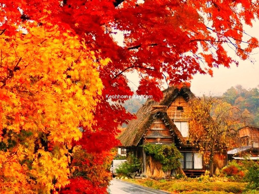 Những cảnh mùa thu tuyệt đẹp bạn không thể bỏ qua trên thế giới
