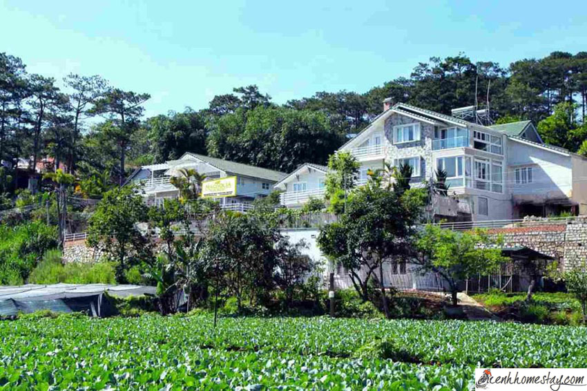 20 Villa Đà Lạt, biệt thự Đà Lạt giá rẻ đẹp gần chợ trung tâm có hồ bơi