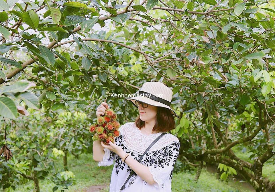 Top 15 vườn trái cây gần Sài Gòn đẹp “dữ dội”, ăn “tẹt ga” chỉ với 10k