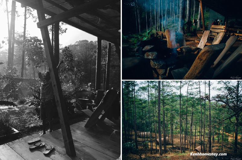 Andante Farm & Lodge – Homestay lọt thỏm giữa rừng thông bình yên Đà Lạt