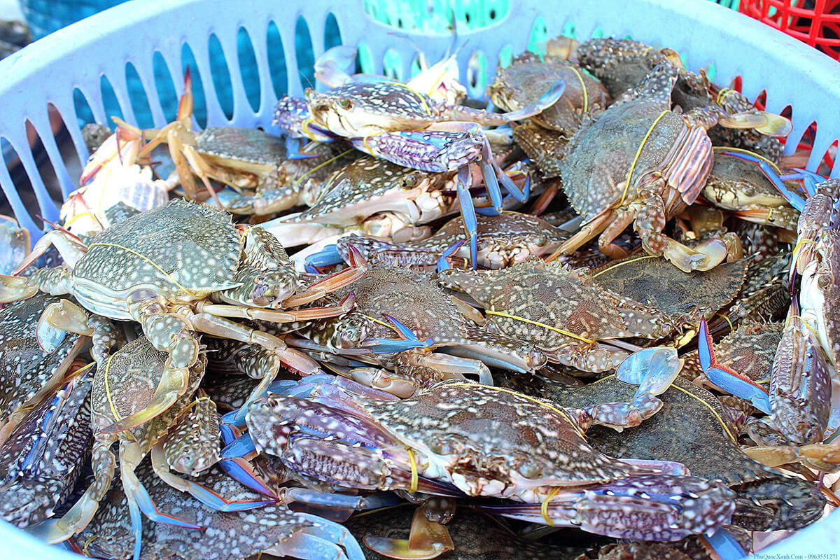 Top 10 vựa hải sản Côn Đảo tươi ngon nên mua khi du lịch