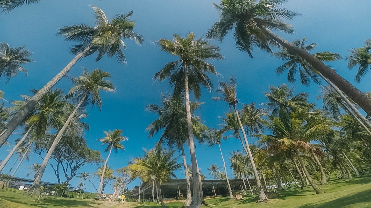 Kinh nghiệm du lịch đảo Hòn Thơm, Phú Quốc: Vi vu khắp đảo chỉ tốn khoảng 1.5 triệu