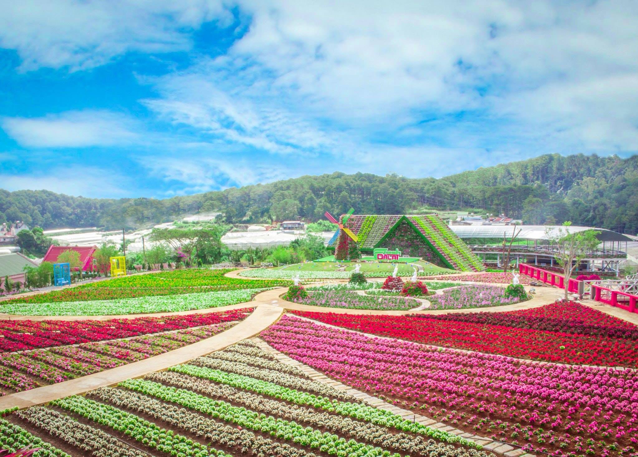Top 4 vườn hoa Hồng Đà Lạt check-in cực hot cho du khách