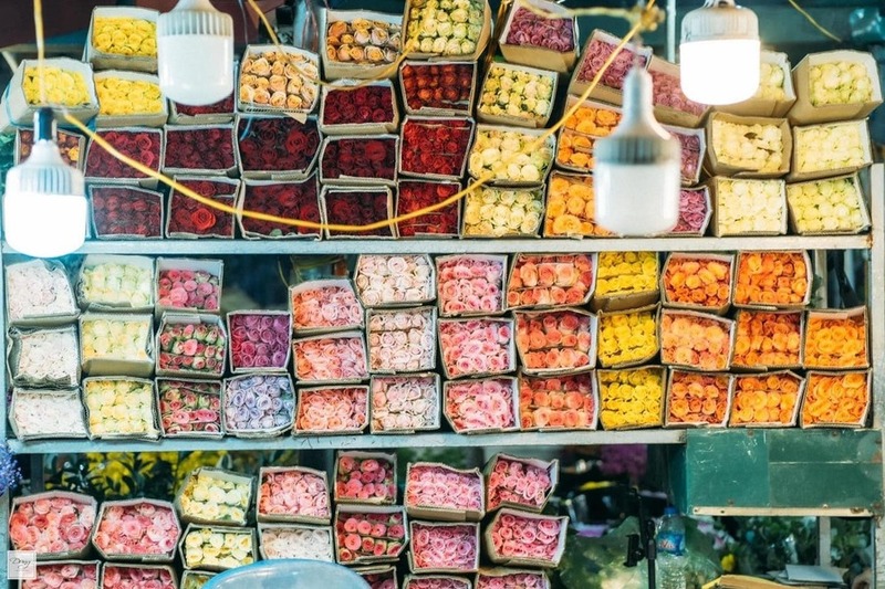 Khám phá chợ hoa Quảng An - Vẻ đẹp thơ mộng của Thủ đô hoa lệ về đêm