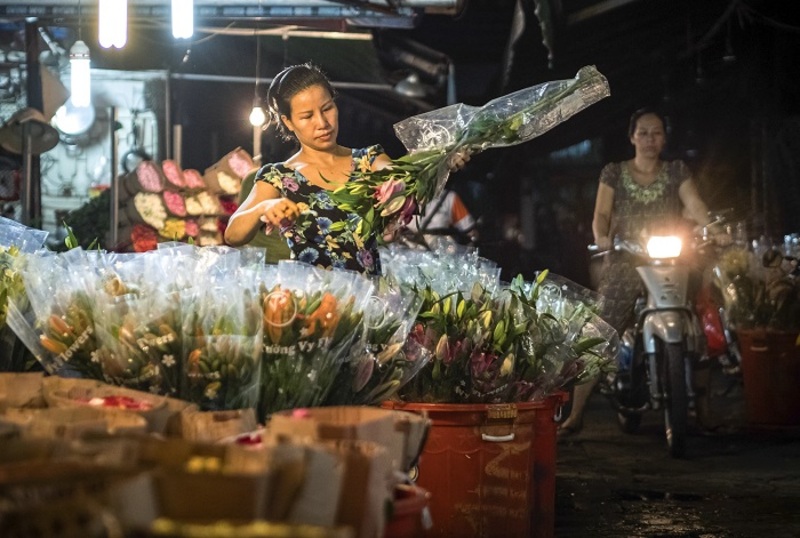 Chợ hoa Hồ Thị Kỷ – điểm tham quan, mua sắm hot nhất Sài Thành