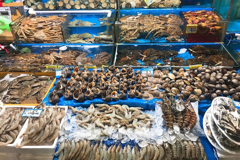 Chợ Bến Đình Vũng Tàu - Thiên đường hải sản nổi tiếng ở thành phố biển