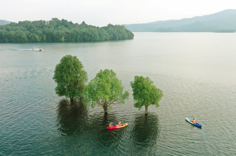 Hồ Phú Ninh - Chiêm ngưỡng vẻ đẹp của khu sinh thái xứ Quảng